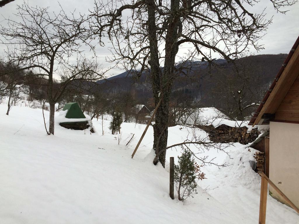 У Сергія Guest House Lumshory Exterior photo