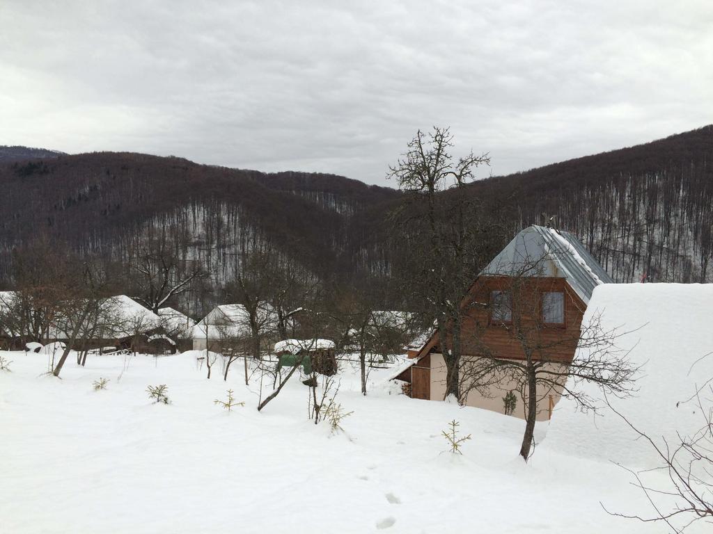 У Сергія Guest House Lumshory Exterior photo